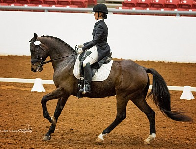 Mary competes FEI horse Starrs and Stripes